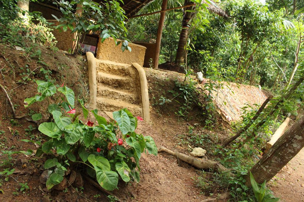 Abberny Villa Midigama East Rom bilde