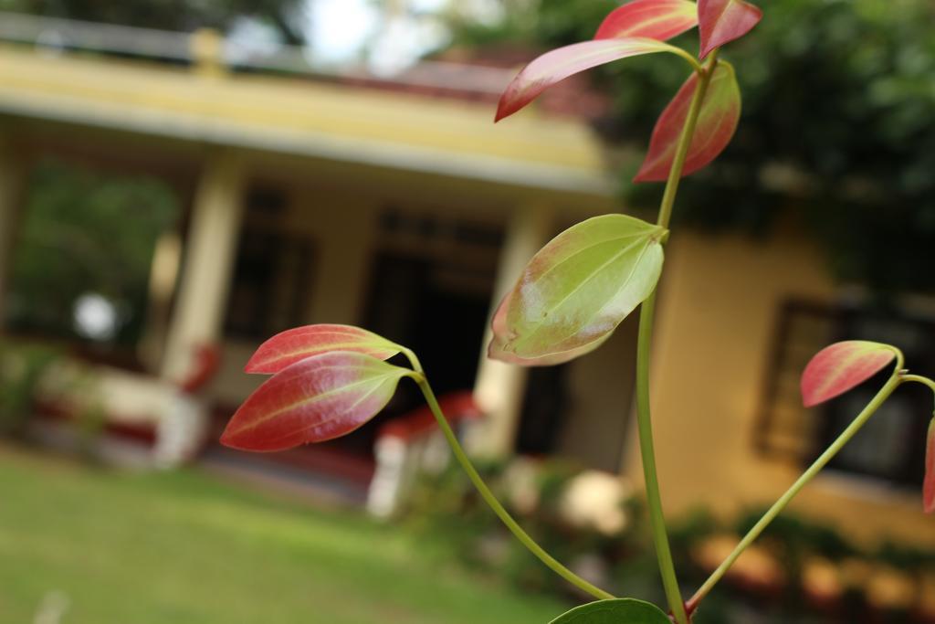 Abberny Villa Midigama East Rom bilde