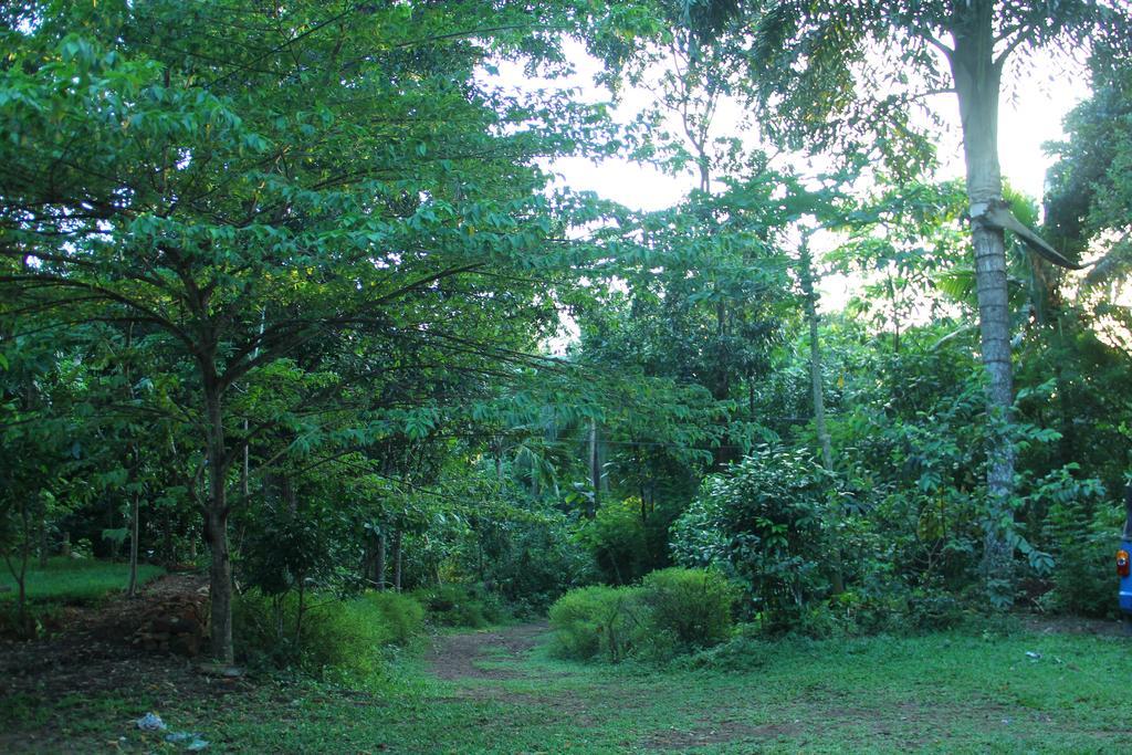 Abberny Villa Midigama East Rom bilde